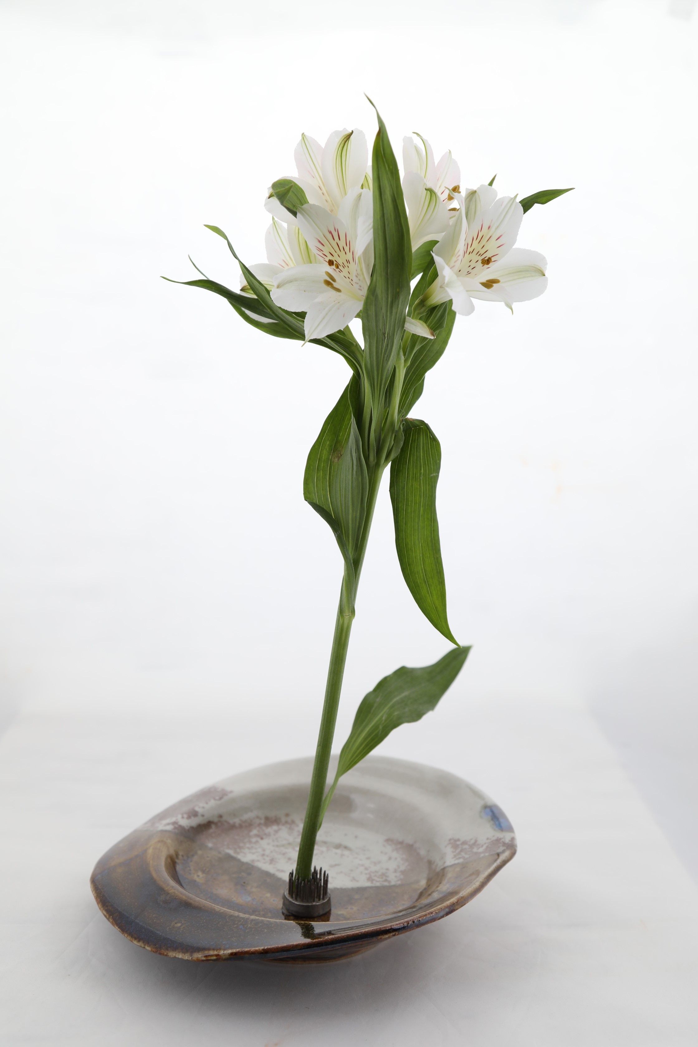 Photo of flowers on a stand.
